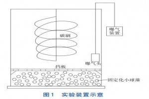 榨菜廢水尾水強(qiáng)化處理藻菌共生技術(shù)