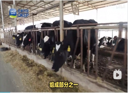 畜禽養(yǎng)殖廢水污染嚴(yán)重，需加強治理